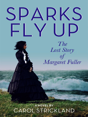 cover image of Sparks Fly Up